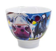 Load image into Gallery viewer, Tipperary -Eoin O Connor Set of 4 Bowls
