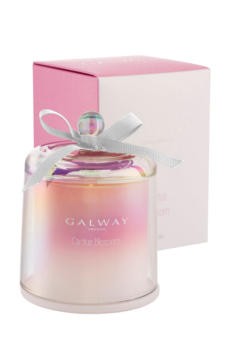 Galway Living Cactus Blossom Candle The Spinning Wheel