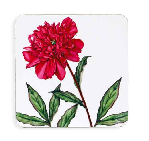 Botanical Coasters from Tipperary Crystal  - 155916