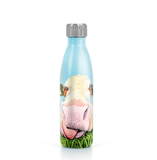 Eoin O Connor Metal Water Bottle - I Could Eat A Horse - 153738