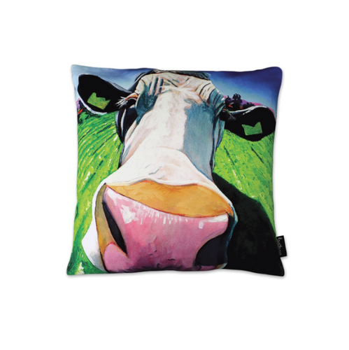 Tipperary - Eoin O Connor The Moover And Shaker Cushion