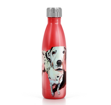 Load image into Gallery viewer, Tipperary - Eoin O&#39;Connor Mutz Water Bottle - Cruella
