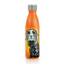 Load image into Gallery viewer, Tipperary - Eoin O&#39;Connor Mutz 500ml Water Bottle - Mr. Lover
