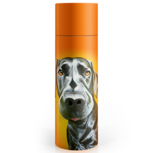 Load image into Gallery viewer, Tipperary - Eoin O&#39;Connor Mutz 500ml Water Bottle - Mr. Lover
