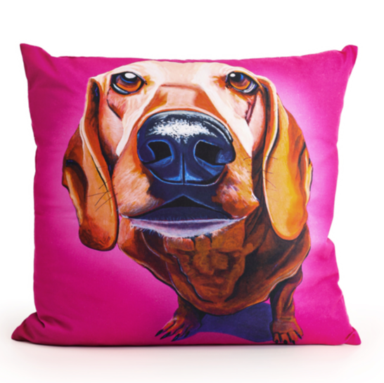 Tipperary - Eoin O'Connor Mutz Cushion - Puppy Love